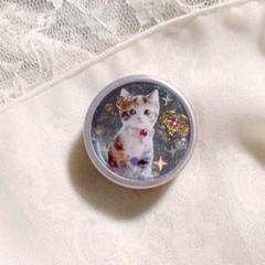 三毛猫のピンクアルミケース