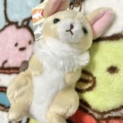 本日限定　動物園限定　ひざフェネック　タグ付き　大きい　メルカリのみ出品 動物園限定 ひざフェネック タグ付き 大きい メルカリのみ出品