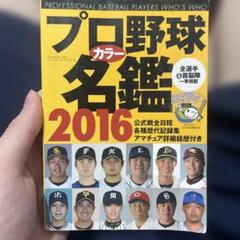 プロ野球　関連書籍　40冊セット 2025年最新】Yahoo!オークション -プロ野球全記録(本、雑誌)の
