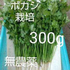 ボカシ栽培の無農薬パクチー300g