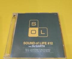 DJ GARTH SOUND OF LIFE 12