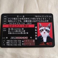 ⭐️希少品⭐️なめ猫免状等 Amazon.co.jp: 【希少品】 なめんなよ猫 なめ猫又吉免許証 レア