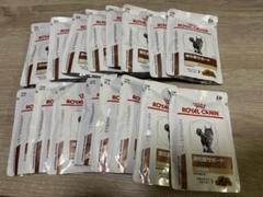 ROYAL CANIN 消化器サポート　可溶性繊維　パウチ85g×16袋のサムネイル