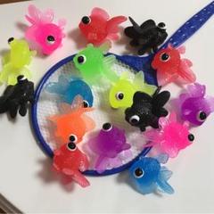 金魚すくい カラフル出目金