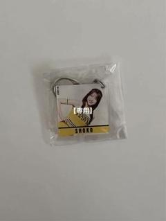【専用】RYOTA様 SHOKO アクキーのサムネイル