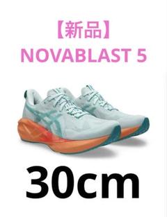 [アシックス] ランニングシューズ NOVABLAST 5 30.0 cm 2E