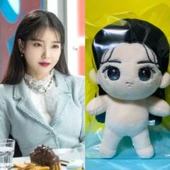 NCT127 - NCT127 ドヨン ぬいぐるみ　ワント 40cm ハト 왕또 NCT127 ドヨン ぬいぐるみ ワント 40cm ハト 왕또 - メルカリ