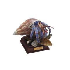 ネイチャーテクニカラー 小笠原 特装版 全6種セット（カプセル
