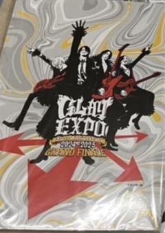GLAY EXPO パンフレット 本読みCD新品未開封 GRAND FINALE GLAY EXPO 30th パンフレット(本読みCD付き) - メルカリ