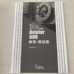 vintage Aviator600 解答・解説書