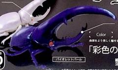1/1 ヘラクレスオオカブトⅡ バイオレットパール 単品
