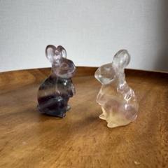 フローライト　バイカラー　うさぎ2点セット