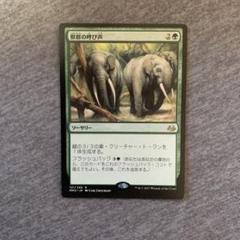 獣群の呼び声 Magic: The Gathering EX]獣群の呼び声/Call of the Herd《英語》【ODY】