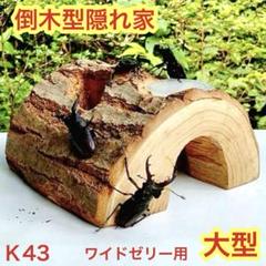 2025年最新】樹洞の人気アイテム - メルカリ