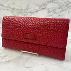 【新品】イギリス　ラドリーロンドン　長財布　雨柄 ラドリー ロンドン RADLEY LONDON RADLEY LONDON ラドリー