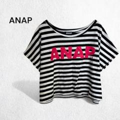 アナップ 半袖Tシャツ ボーダー ロゴ カットソー ショート丈 コットン100％