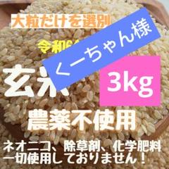 2025年最新】くず米 無農薬の人気アイテム - メルカリ