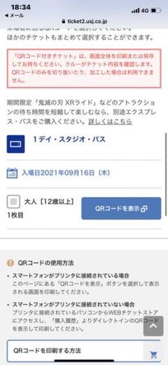 ユニバーサルスタジオジャパン Webチケットの中古 未使用品 メルカリ