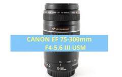 望遠レンズ☆スポーツ☆大迫力300㎜☆Canon EF75-300 USM 大迫力300㎜☆スポーツ☆望遠レンズ☆Canon EF75-300 USM - メルカリ