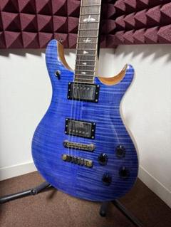 2025年最新】prs se 美品の人気アイテム - メルカリ