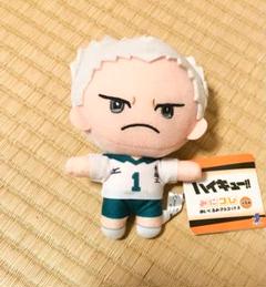 ハイキュー 青根高伸 ぬいぐるみキーホルダー にとたん Amazon.co.jp: タグ ハイキュー にとたん ぬいぐるみ 青根高伸
