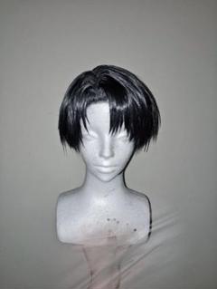 2025年最新】進撃の巨人+リヴァイ+コスプレ+ウィッグの人気
