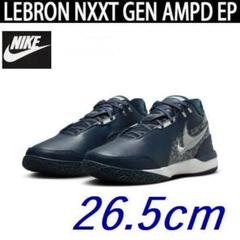 2025年最新】lebron nxxt gen epの人気アイテム - メルカリ
