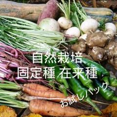無農薬 自然栽培野菜のオタメシたからばこ