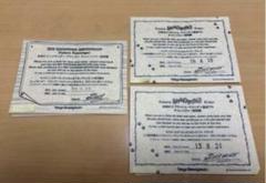 ディズニーランド チャレンジャー証明書 ビッグ スプラッシュ スタツア ガジェ 東京ディズニーランド ビッグサンダーマウンテン、スター