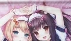 2025年最新】ネコぱら タペストリーの人気アイテム - メルカリ