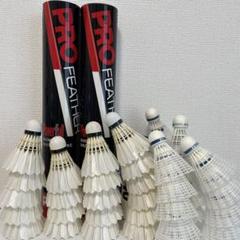 REDSON バドミントンシャトル 検定合格級 RED 6本➕セミシャトル4本 REDSON バドミントンシャトル 検定合格級 RED 6本➕セミシャトル