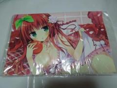 白もち桜 タペストリー ナツイロココロログ 花嫁と魔王 パニカルコンフュージョン 2025年最新】白もち桜 タペストリーの人気アイテム - メルカリ