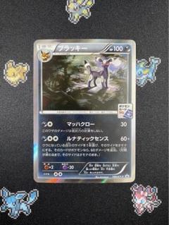 ポケモン - ポケモンカード　ブラッキー　カリンのナイトバトル優勝プロモ ポケモンカード カリン 256/XY-P カリンのナイトバトル