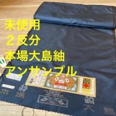 未使用　本場大島紬　イッピキ　2反分　証紙　アンサンブル　メンズ　男性 黒　紺