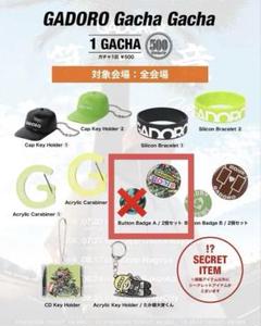 GADORO 宮崎限定ノベルティDVD GADORO 宮崎限定ノベルティDVD（GADOROさん ニューアルバム