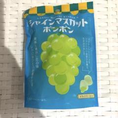 9.3 シャインマスカットボンボン　未開封 シャインマスカットボンボン 未開封