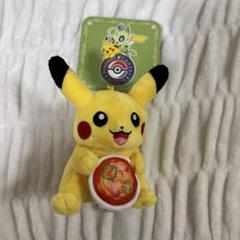 3種類　ポケモンセンターナゴヤ　名古屋　ピカチュウ 東海唯一の「ポケモンセンターナゴヤ」初公開に行ってきた。金の