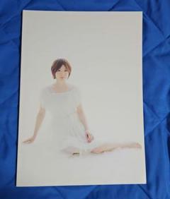 花澤香菜 パンフレット Claire ライブグッズ