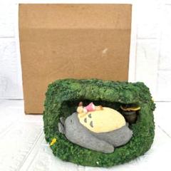 トトロ プランター おひるね