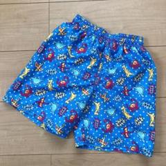 水着 サーフパンツ 海パン 恐竜 きょうりゅう 110