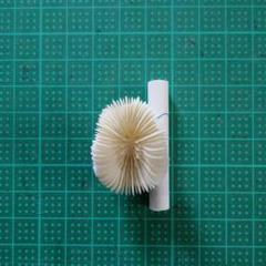 飾りサンゴ