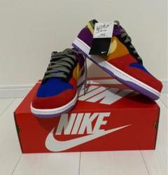 NIKE DUNK LOW SP ナイキ AIR バイオテック
