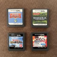 ニンテンドーDS ゲームソフトセット サバイバルキッズ よいこの無人島生活 他