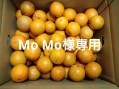 タンカン 10kg 奄美自然科学研究所オンラインショップ 通販サイト / 奄美