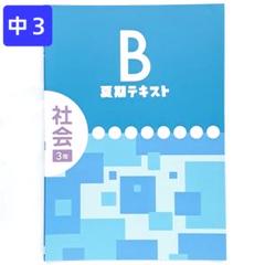 すぐったレディース福袋 2025年最新】中学3年夏期講習テキストの人気アイテム - メルカリ 語学・辞書・学習参考書