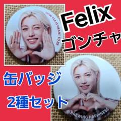 Stray kids スキズ Unveil Tour 缶バッジ 缶バッチ コンプ PHOTO BADGE【B】- I.N / Stray Kids『5-STAR Dome Tour 2023