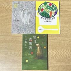 「泣くほどの恋じゃない」「野菜畑で見る夢は」「望月青果店」 小手鞠るい 文庫本