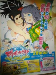 【非売品】閃乱カグラ ピーチ ビーチ スプラッシュ 八重樫南 B2 ポスター 閃乱カグラ PEACH BEACH SPLASH」，パッケージを一新した価格