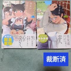 【裁断済】ボーイッシュ彼女が可愛すぎる　1巻2巻
