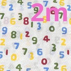sousou リップル生地　ハンドメイド　2m 浴衣　甚平